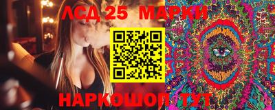 сатива Камышлов