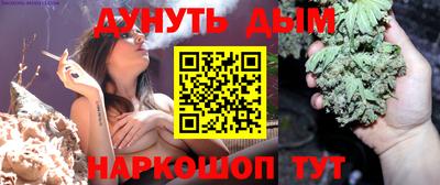 сатива Камышлов
